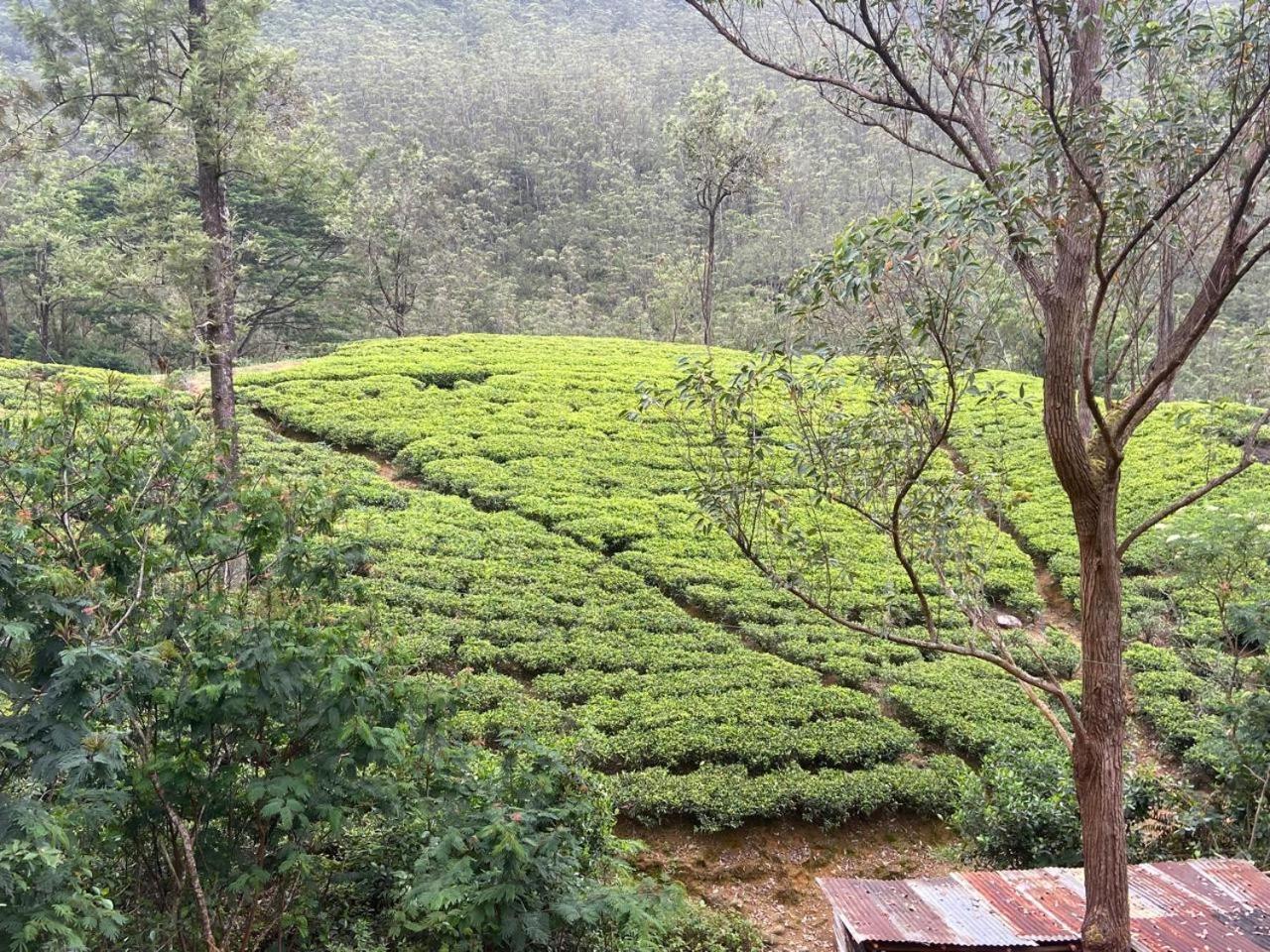 Shan Hotel Nallathanniya Exterior foto